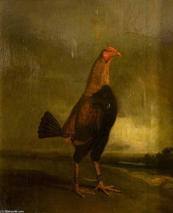 Order Art Reproductions Fighting Cock In A Landscape by Henry Thomas Alken (1785-1851, United Kingdom) | ArtsDot.com