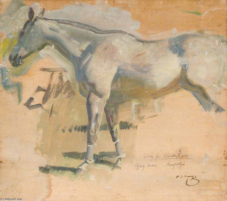 Study For `after The Race`, The Grey Mare `magnolia` by Alfred James Munnings Alfred James Munnings | ArtsDot.com