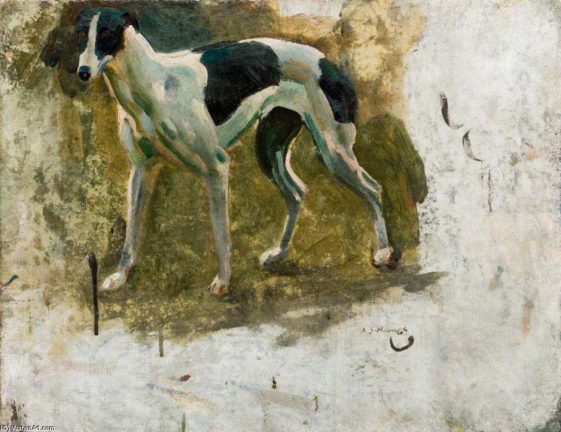 Study Of A Black And White Greyhound by Alfred James Munnings Alfred James Munnings | ArtsDot.com