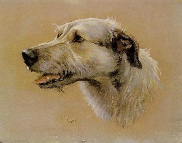 Order Art Reproductions Irish Wolfhound Sir Michael Of Sheppey by Cecil Charles Aldin (1870-1935, United Kingdom) | ArtsDot.com