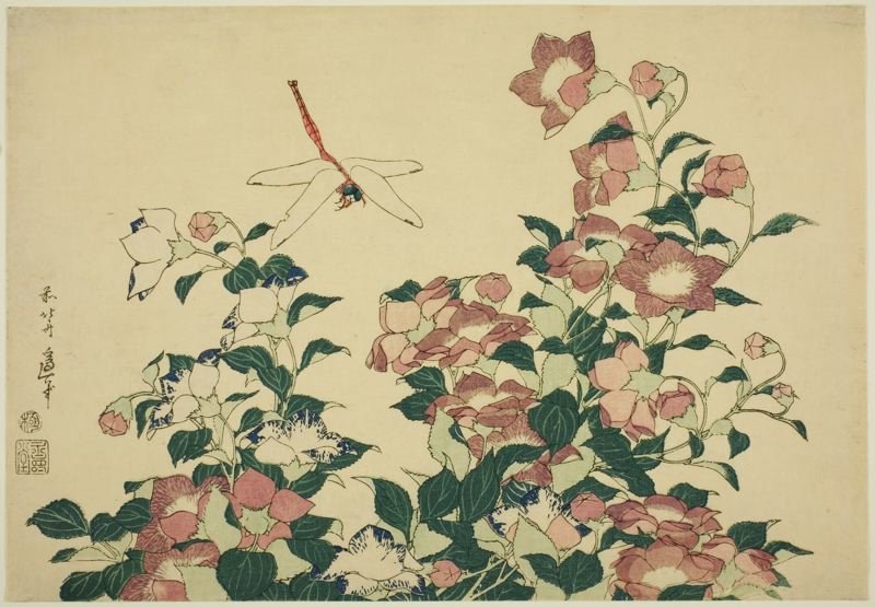 Buy Museum Art Reproductions Bell-flower And Dragonfly by Katsushika Hokusai (1760-1849, Japan) | ArtsDot.com