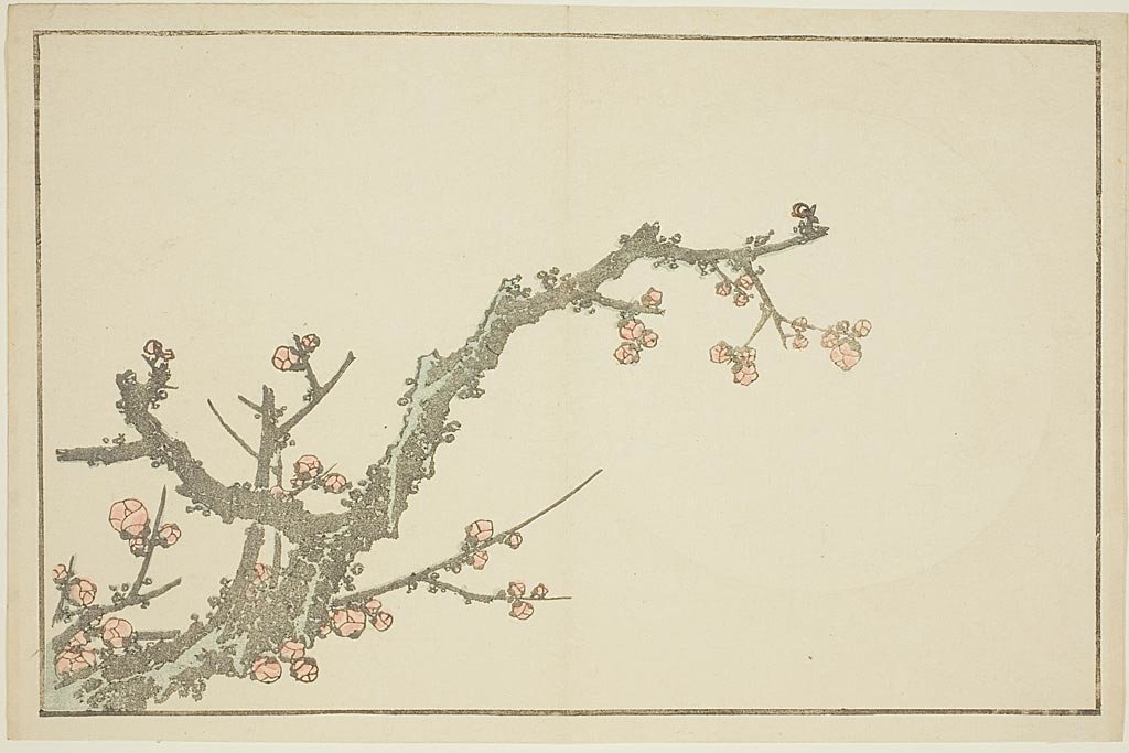 Buy Museum Art Reproductions Blooming Plum Tree by Katsushika Hokusai (1760-1849, Japan) | ArtsDot.com