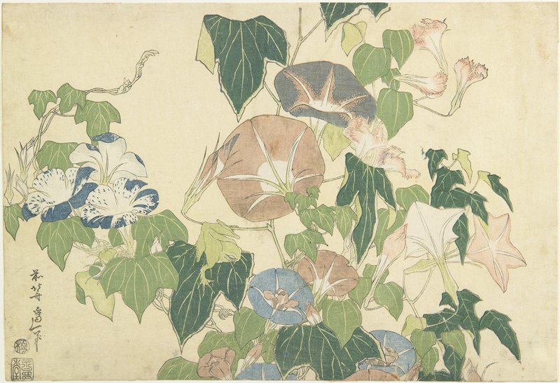 Buy Museum Art Reproductions Frog And Morning Glories by Katsushika Hokusai (1760-1849, Japan) | ArtsDot.com
