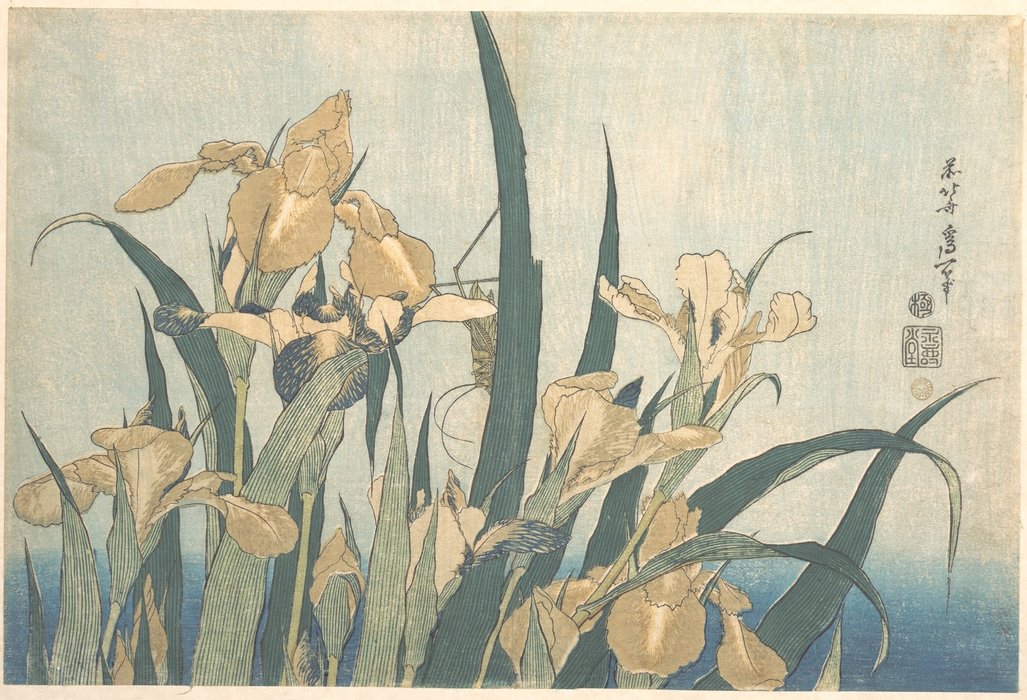 Order Paintings Reproductions Grasshopper And Iris by Katsushika Hokusai (1760-1849, Japan) | ArtsDot.com