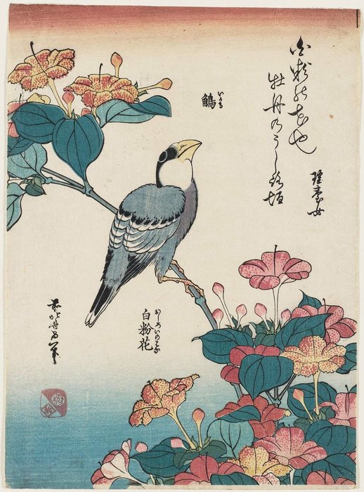 Order Oil Painting Replica Hawfinch And Marvel-of-peru by Katsushika Hokusai (1760-1849, Japan) | ArtsDot.com