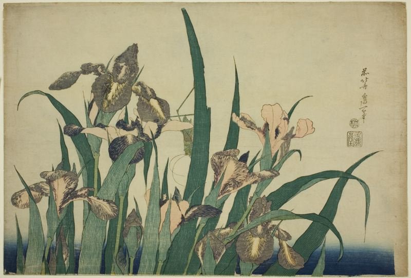 Buy Museum Art Reproductions Iris And Grasshopper by Katsushika Hokusai (1760-1849, Japan) | ArtsDot.com