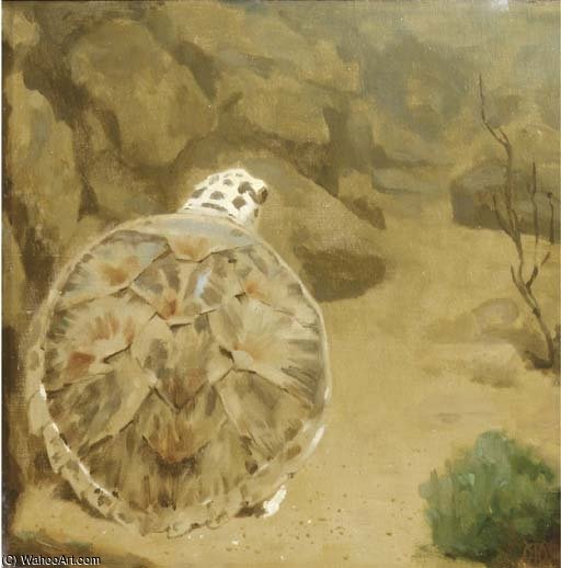 Order Oil Painting Replica A Turtle by Gerrit Willem Dijsselhof (1866-1924, Netherlands) | ArtsDot.com