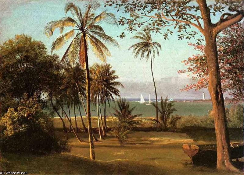 Order Oil Painting Replica florida scene by Albert Bierstadt (1830-1902, Germany) | ArtsDot.com