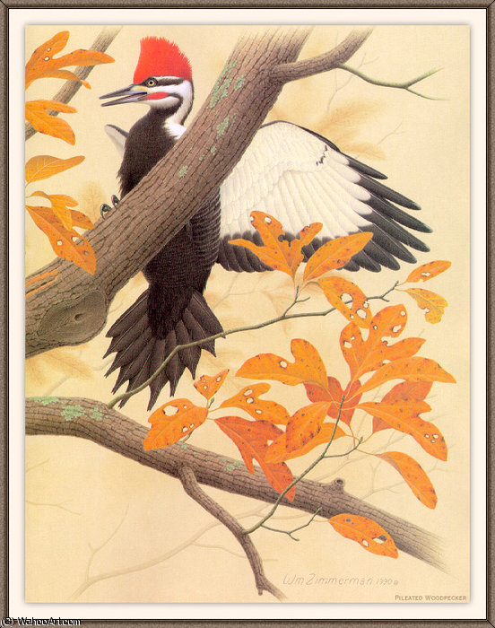 Buy Museum Art Reproductions pileated woodpecker by August Albert Zimmermann (1808-1888, Germany) | ArtsDot.com