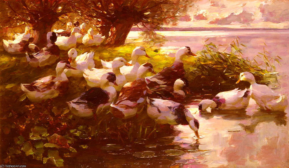 Order Paintings Reproductions Ducks On A Lake by Alexander Max Koeste (1864-1932, Germany) | ArtsDot.com