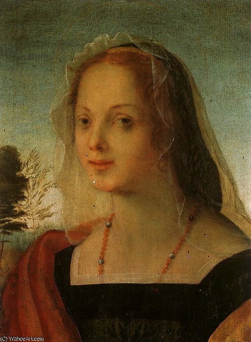 Order Paintings Reproductions Portrait of a Young Woman by Rosso Fiorentino (1495-1540, Italy) | ArtsDot.com
