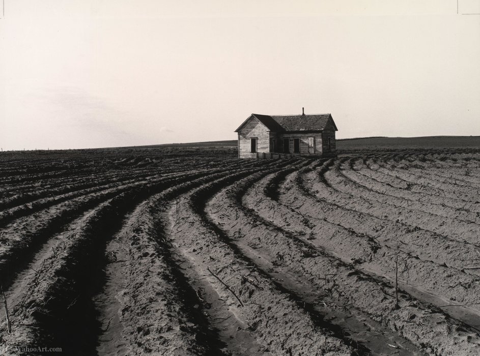 Order Oil Painting Replica Tractored out, childress county, texas by Dorothea Lange (Inspired By) (1895-1965, United States) | ArtsDot.com