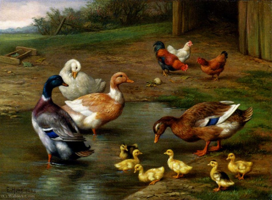 Order Artwork Replica Chickens ducks and ducklings paddling by Edgar Hunt (Inspired By) (1876-1953) | ArtsDot.com