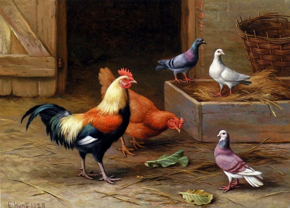 Buy Museum Art Reproductions Chickens pigeons and a dove by Edgar Hunt (Inspired By) (1876-1953) | ArtsDot.com