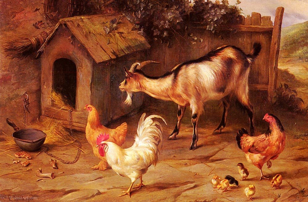 Order Art Reproductions Fowl chicks and goats by a dog kennel by Edgar Hunt (Inspired By) (1876-1953) | ArtsDot.com