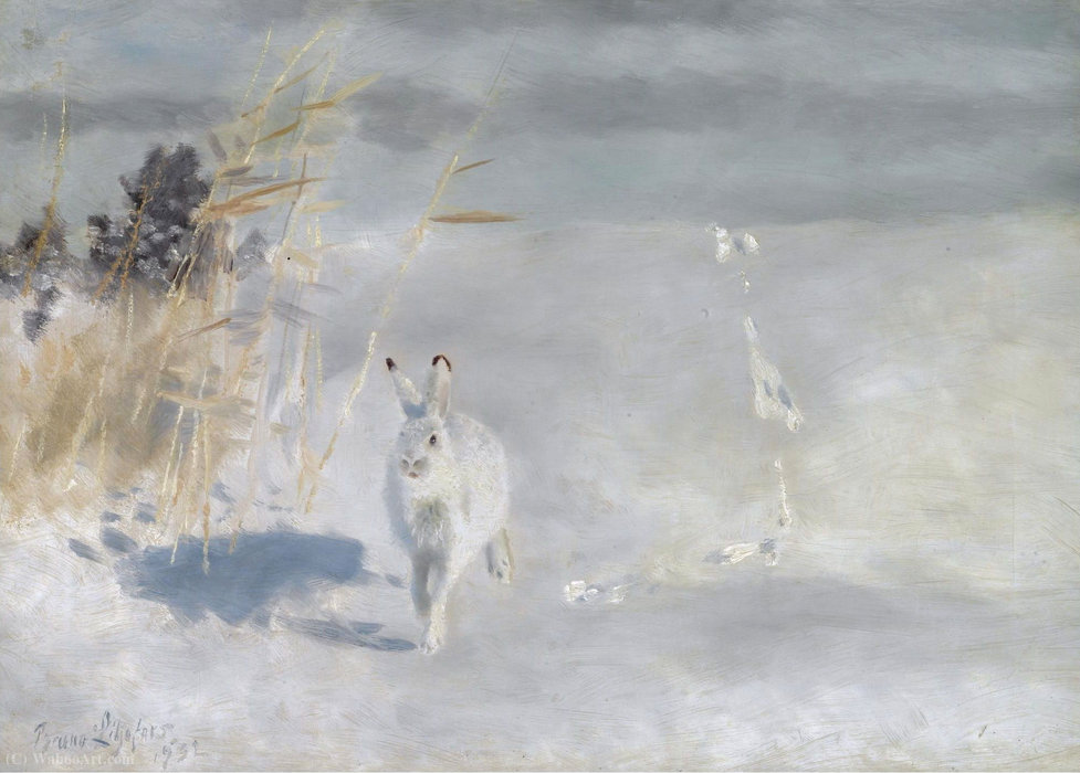 Order Oil Painting Replica Winterhare (Snow Hare), (1932) by Bruno Liljefors (1860-1939, Sweden) | ArtsDot.com