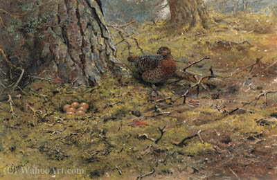 Order Oil Painting Replica A hen capercailie with her nest by George Edward Lodge (Inspired By) (1860-1954, United Kingdom) | ArtsDot.com