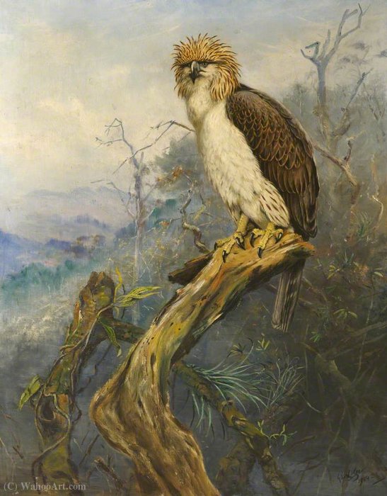Order Oil Painting Replica Monkey-Eating Eagle by George Edward Lodge (Inspired By) (1860-1954, United Kingdom) | ArtsDot.com