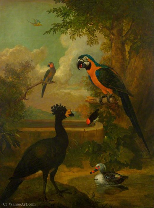 Order Art Reproductions Macaw and Other Birds in a Landscape by Tobias Stranover (1684-1756, Romania) | ArtsDot.com