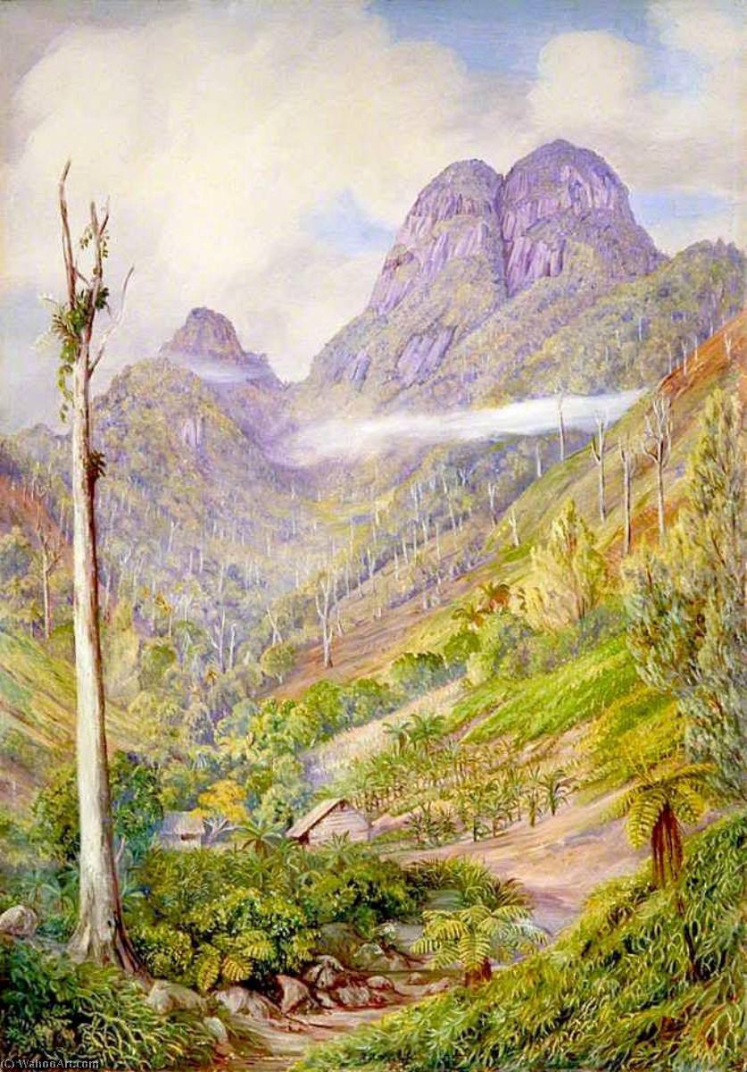 Buy Museum Art Reproductions The Highest Point in Mahé with Dead Capucin Trees in the Valley, 1883 by Marianne North (1830-1890, United Kingdom) | ArtsDot.com
