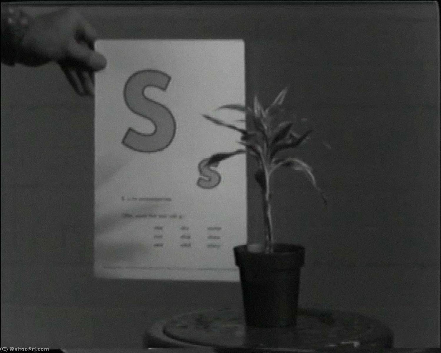 Teaching a Plant the Alphabet, 1972 by John Baldessari John Baldessari | ArtsDot.com