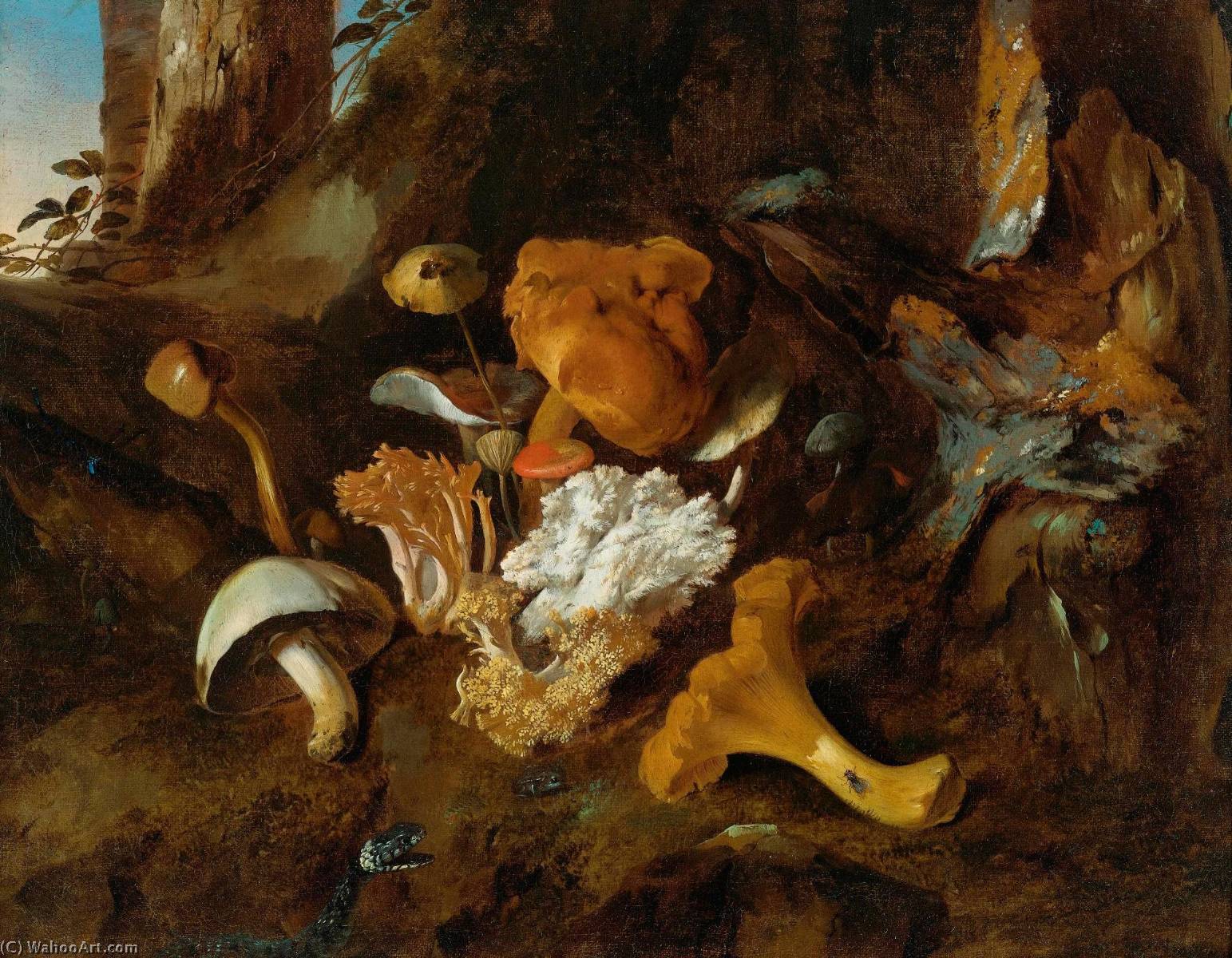 Buy Museum Art Reproductions A Forest Floor Still Life with Mushrooms and a Snake, 1657 by Otto Marseus Van Schrieck (1620-1678, Netherlands) | ArtsDot.com