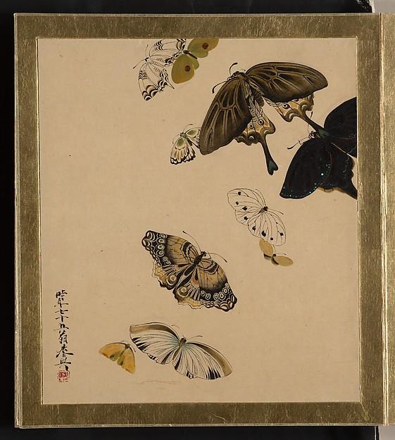Buy Museum Art Reproductions Lacquer Paintings of Various Subjects Butterflies, 1881 by Shibata Zeshin (1807-1891) | ArtsDot.com
