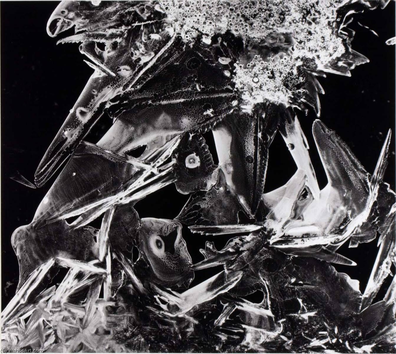 Order Paintings Reproductions Untitled (Ice Crystal), 1973 by Brett Weston (Inspired By) (1911-1993, United States) | ArtsDot.com