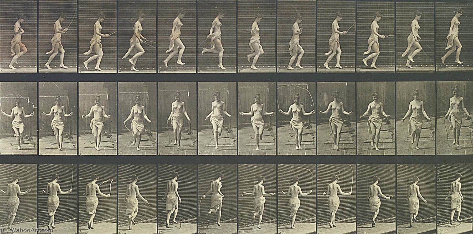 Order Paintings Reproductions Woman Using Skipping Rope, from the book Animal Locomotion, 1887 by Eadweard Muybridge | ArtsDot.com