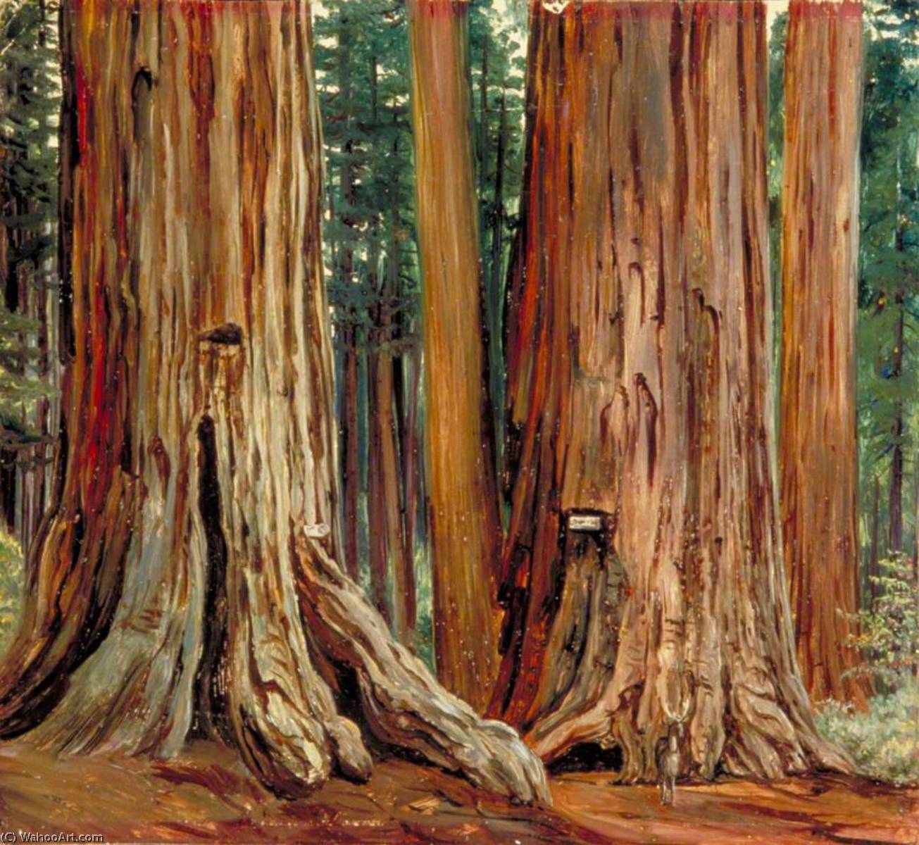 Order Oil Painting Replica `Castor and Pollux` in the Calaveras Grove of Big Trees, California, 1875 by Marianne North (1830-1890, United Kingdom) | ArtsDot.com