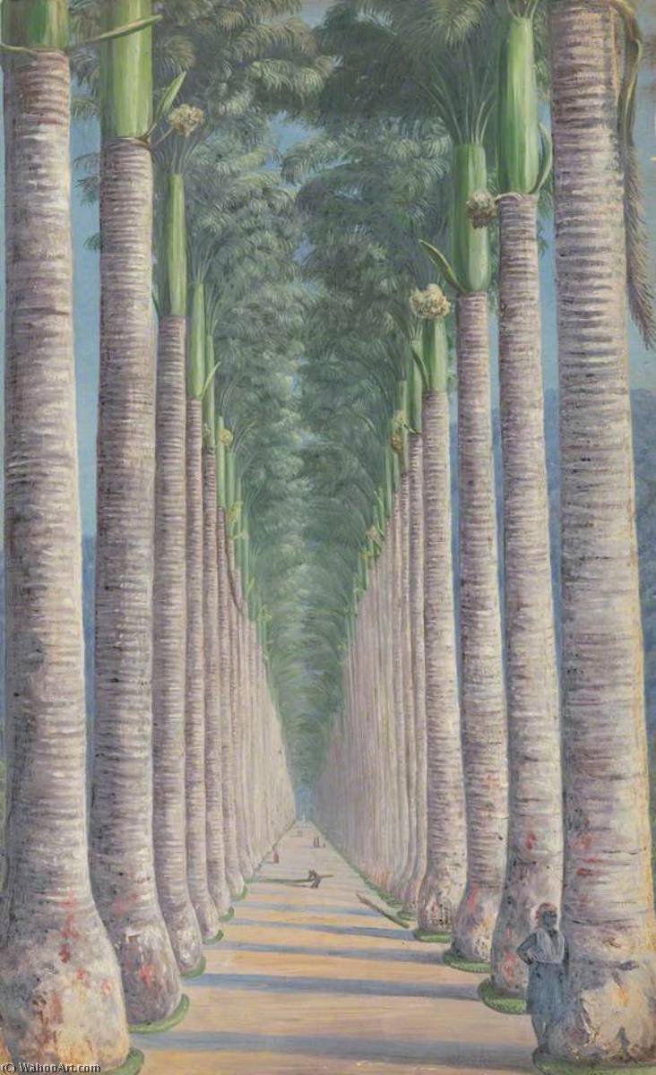 Ordinare Riproduzioni D'arte Royal Palm Avenue, 1872 di Marianne North (1830-1890, United Kingdom) | ArtsDot.com