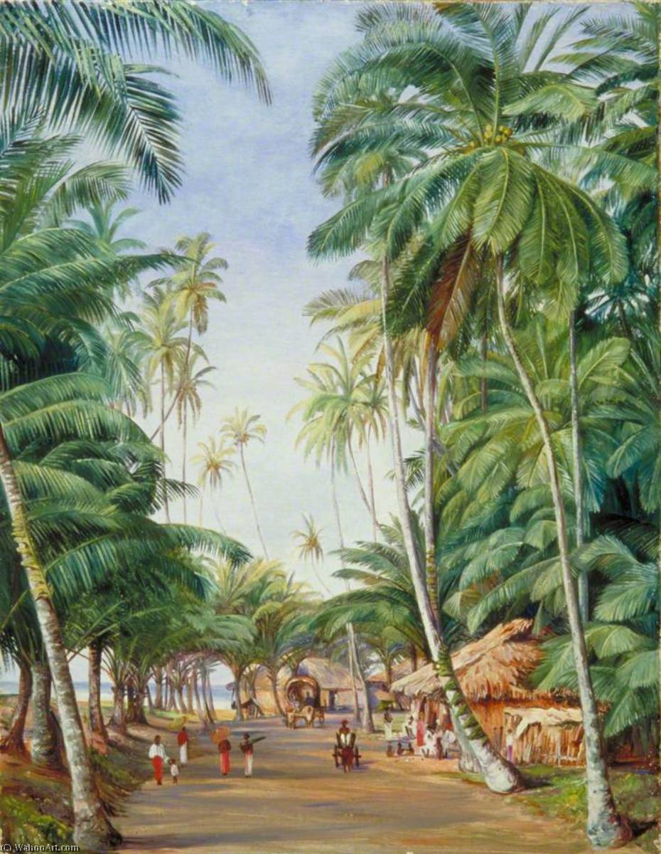 Order Art Reproductions Roadside Scene under the Cocoanut Trees at Galle, Ceylon, 1877 by Marianne North (1830-1890, United Kingdom) | ArtsDot.com