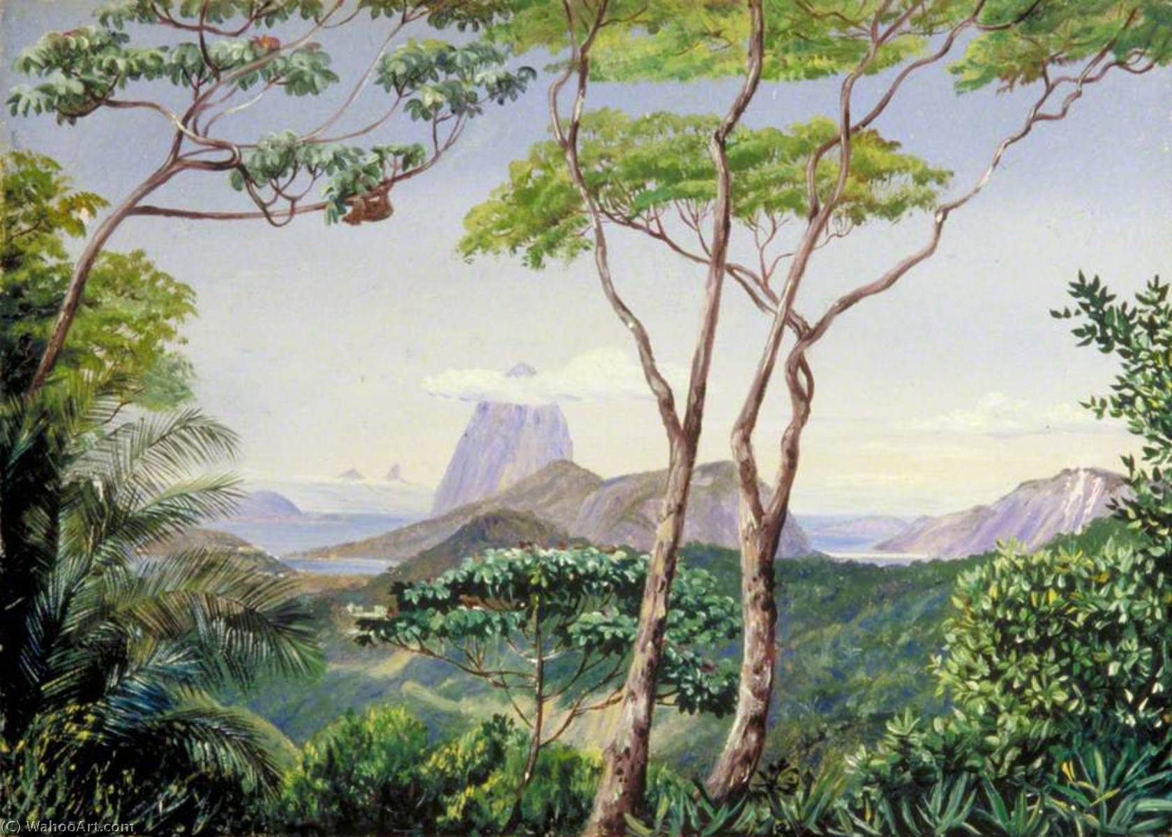 Order Art Reproductions View of the Sugarloaf Mountain from the Aqueduct Road, Rio Janeiro, 1873 by Marianne North (1830-1890, United Kingdom) | ArtsDot.com