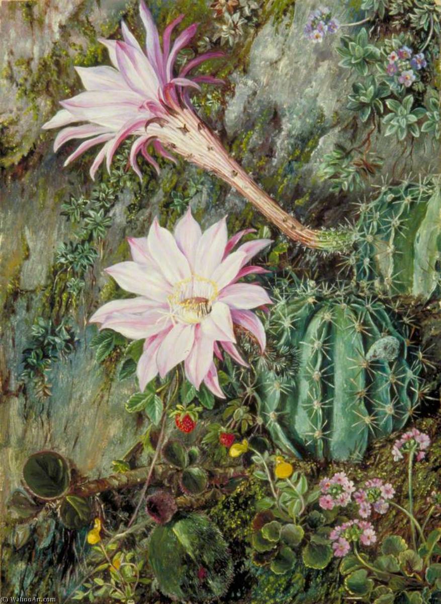 Order Paintings Reproductions Wild Flowers of Mussooree, India, 1878 by Marianne North (1830-1890, United Kingdom) | ArtsDot.com
