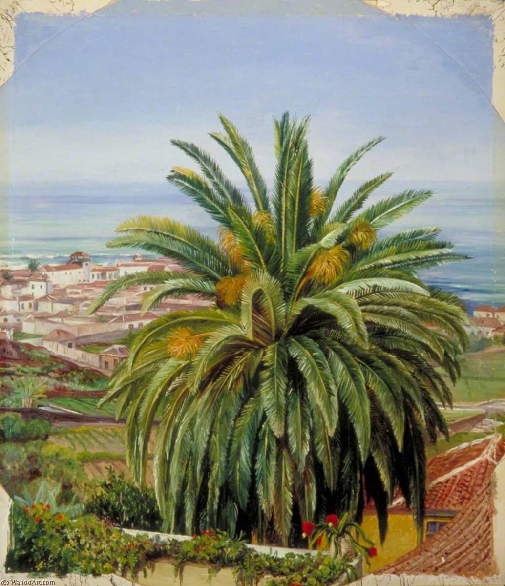 Order Oil Painting Replica View of Puerto de Orotava, Teneriffe, from Sitio del Pardo, 1875 by Marianne North (1830-1890, United Kingdom) | ArtsDot.com