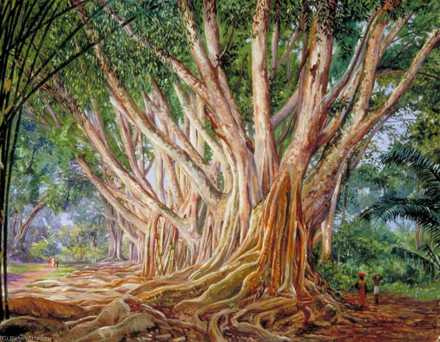 Order Art Reproductions Avenue of Indian Rubber Trees at Peradeniya, Ceylon, 1877 by Marianne North (1830-1890, United Kingdom) | ArtsDot.com
