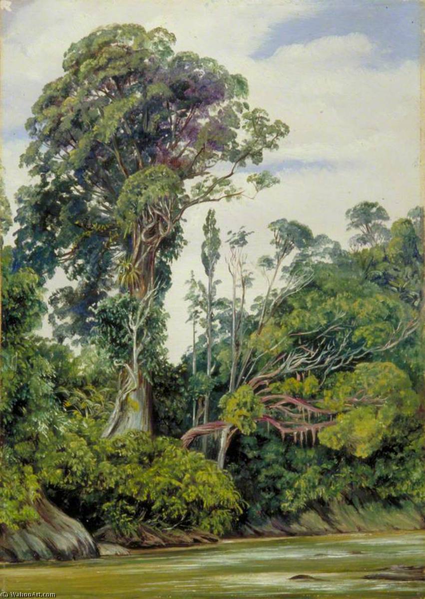 Buy Museum Art Reproductions Tree Covered with Epiphytes and a Palawan Tree, Sarawak, Borneo, 1876 by Marianne North (1830-1890, United Kingdom) | ArtsDot.com