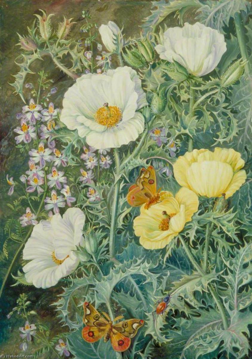 Buy Museum Art Reproductions Mexican Poppies, Chilian Schizanthus and Insects, 1880 by Marianne North (1830-1890, United Kingdom) | ArtsDot.com