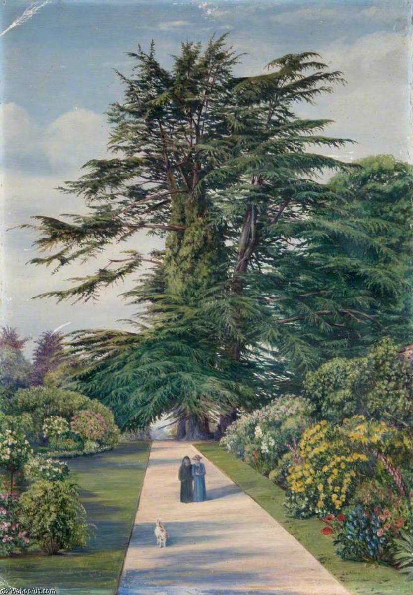 Buy Museum Art Reproductions Cedar Path, Alderley Garden, Gloucestershire, 1880 by Marianne North (1830-1890, United Kingdom) | ArtsDot.com