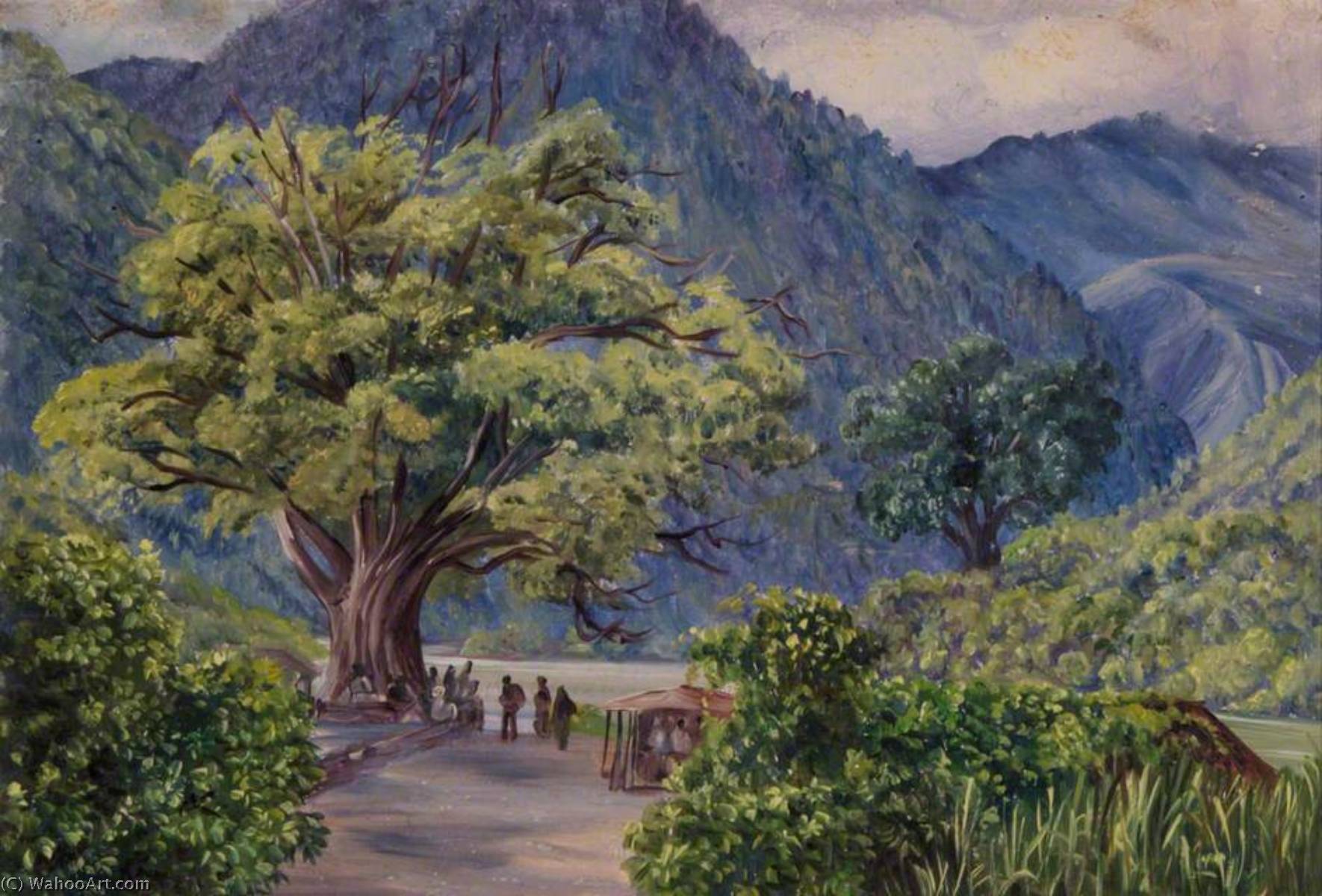 顺序 藝術再現 印度基辅,Ficus bengalensis, 1880 通过 Marianne North (1830-1890, United Kingdom) | ArtsDot.com
