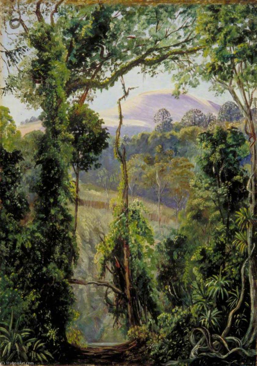 Buy Museum Art Reproductions View Looking out of the Bunya Forest at the Summit, Queensland, 1880 by Marianne North (1830-1890, United Kingdom) | ArtsDot.com