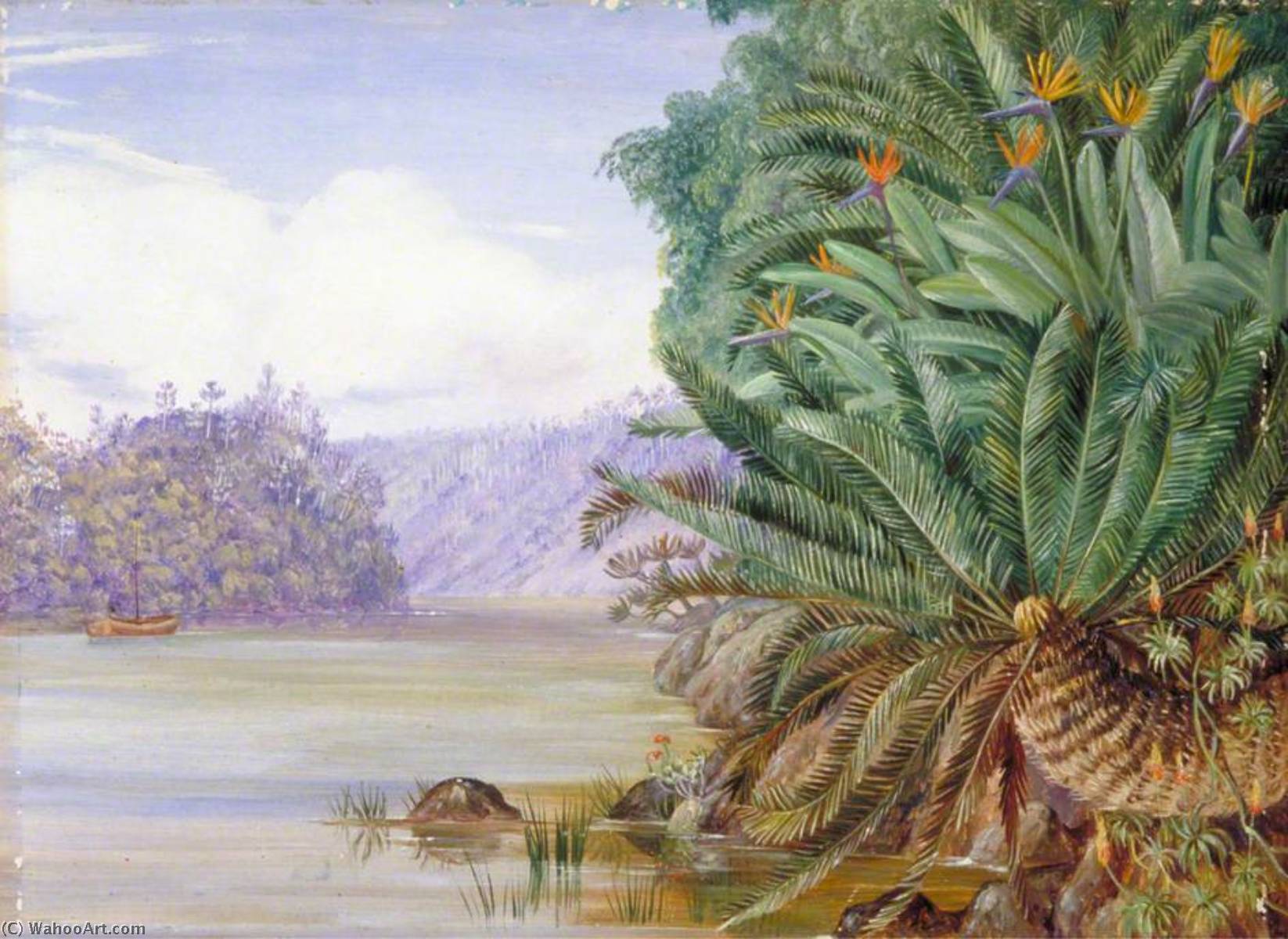 Buy Museum Art Reproductions A View on the Knowie River, South Africa, 1882 by Marianne North (1830-1890, United Kingdom) | ArtsDot.com