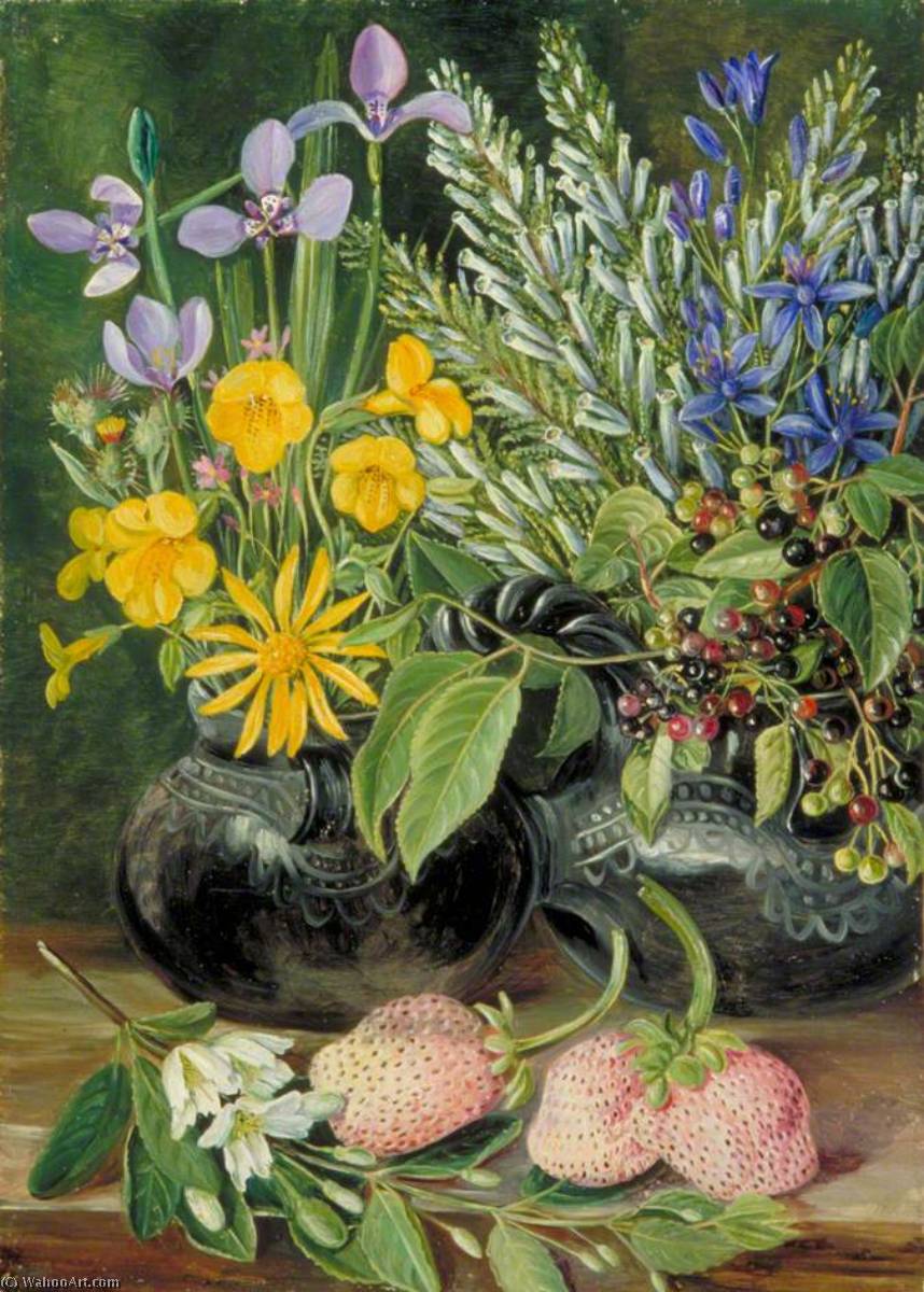 Order Art Reproductions Chilian Flowers in Twin Maté Pot and Chilian Strawberries, 1880 by Marianne North (1830-1890, United Kingdom) | ArtsDot.com