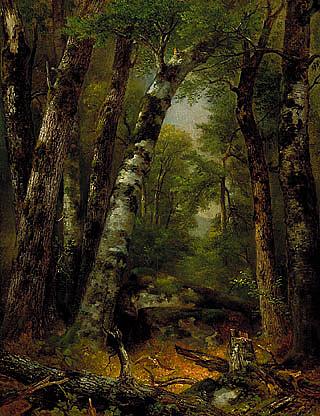 Buy Museum Art Reproductions Woodland Glen, (painting), 1855 by Asher Brown Durand (1796-1886, United States) | ArtsDot.com