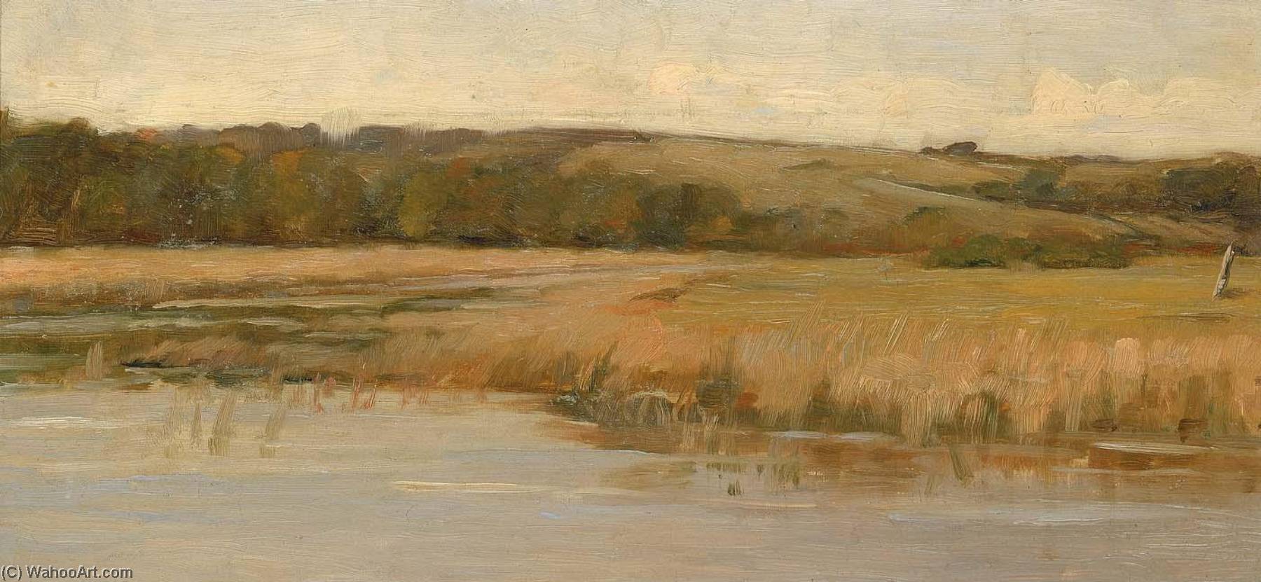 Buy Museum Art Reproductions Hill and Marshland by Max Weyl (1837-1914) | ArtsDot.com