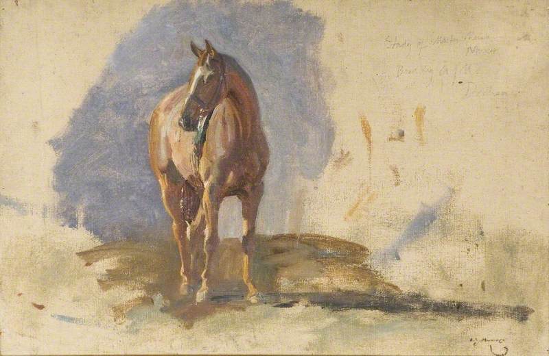 Study of a Bay Horse, `Master`, Bred by the Artist at Dedham by Alfred James Munnings Alfred James Munnings | ArtsDot.com