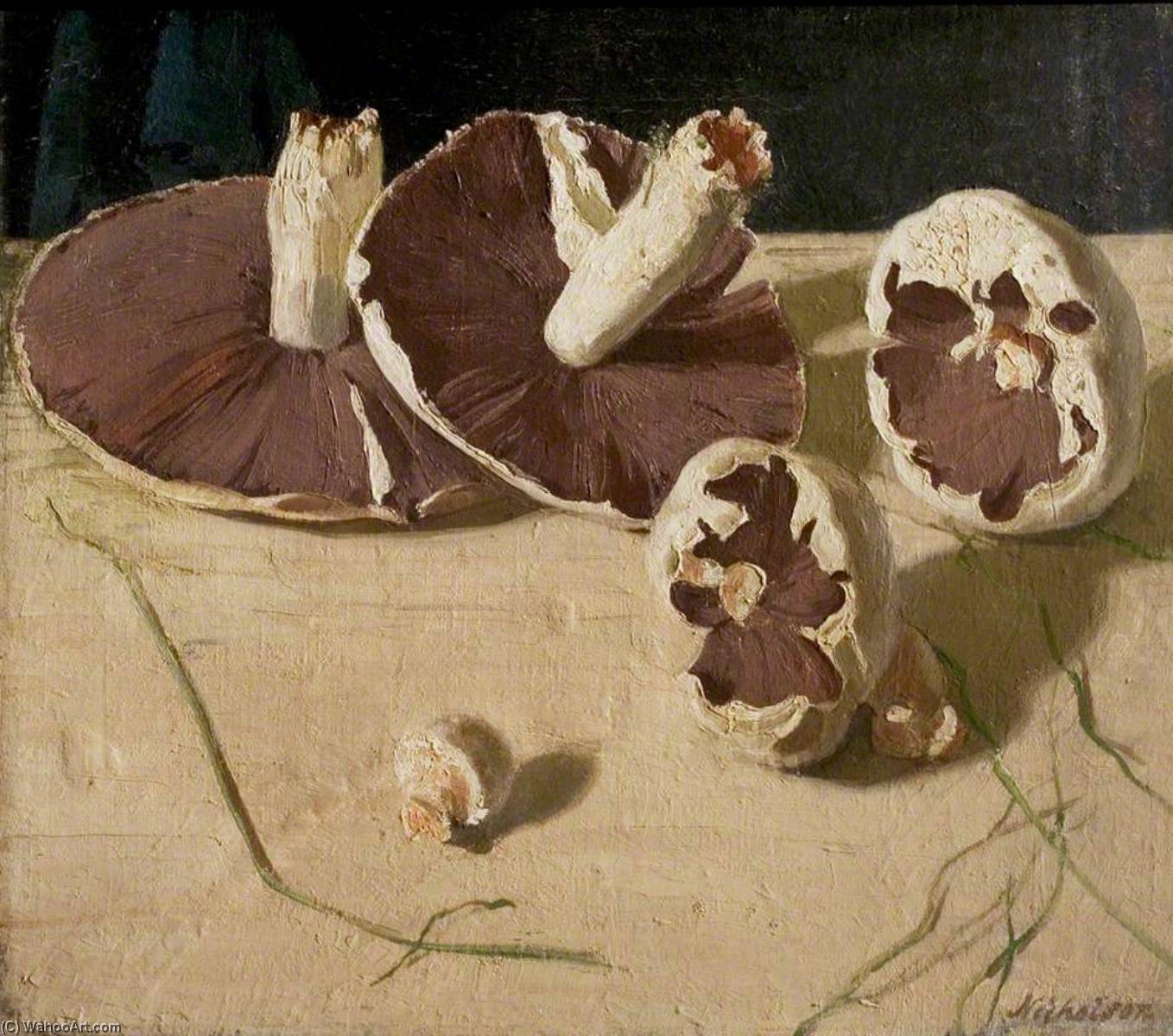 Order Paintings Reproductions Mushrooms, 1927 by William Newzam Prior Nicholson | ArtsDot.com