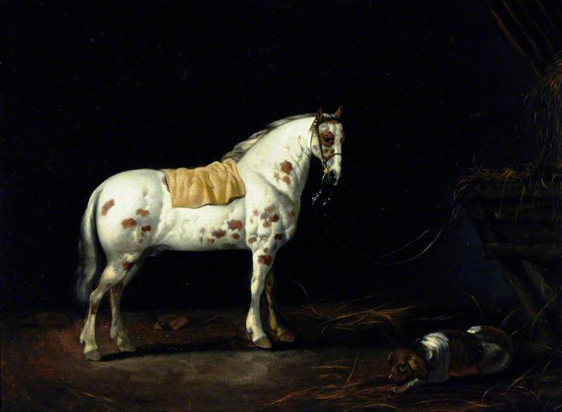 Order Art Reproductions A Dappled Stallion with a Dog in a Stable by Abraham Pietersz Van Calraet (1642-1722) | ArtsDot.com