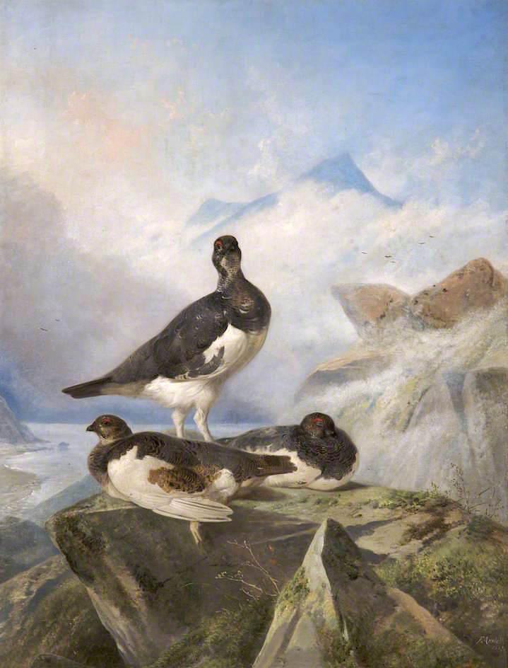 顺序 油畫 Grey Ptarmigan 。, 1867 通过 Richard Ansdell (1815-1885, United Kingdom) | ArtsDot.com