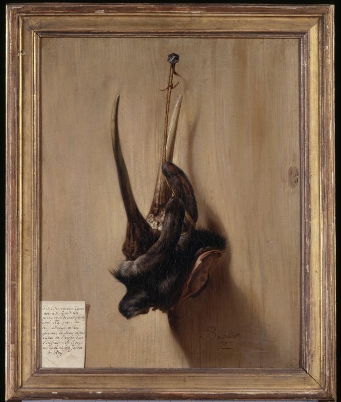 Compra Riproduzioni D'arte Del Museo Tête bizarde de daim di Jean-Jacques Bachelier (1724-1805) | ArtsDot.com